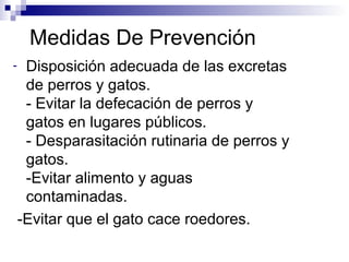 Medidas De Prevención
-    Disposición adecuada de las excretas
     de perros y gatos.
     - Evitar la defecación de perros y
     gatos en lugares públicos.
     - Desparasitación rutinaria de perros y
     gatos.
     -Evitar alimento y aguas
     contaminadas.
    -Evitar que el gato cace roedores.
 