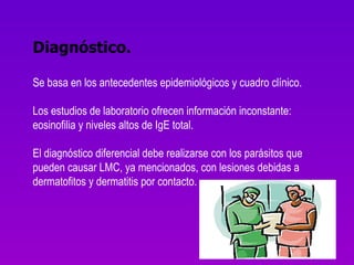 Diagnóstico. Se basa en los antecedentes epidemiológicos y cuadro clínico. Los estudios de laboratorio ofrecen información inconstante: eosinofilia y niveles altos de IgE total. El diagnóstico diferencial debe realizarse con los parásitos que pueden causar LMC, ya mencionados, con lesiones debidas a dermatofitos y dermatitis por contacto. 