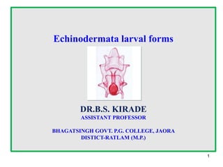 1
Echinodermata larval forms
DR.B.S. KIRADE
ASSISTANT PROFESSOR
BHAGATSINGH GOVT. P.G. COLLEGE, JAORA
DISTICT-RATLAM (M.P.)
 