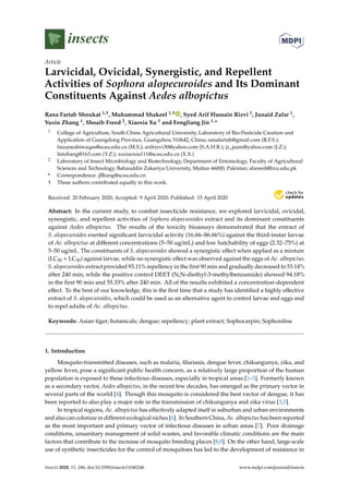 insects
Article
Larvicidal, Ovicidal, Synergistic, and Repellent
Activities of Sophora alopecuroides and Its Dominant
Constituents Against Aedes albopictus
Rana Fartab Shoukat 1,†, Muhammad Shakeel 1,† , Syed Arif Hussain Rizvi 1, Junaid Zafar 1,
Yuxin Zhang 1, Shoaib Freed 2, Xiaoxia Xu 1 and Fengliang Jin 1,*
1 College of Agriculture, South China Agricultural University, Laboratory of Bio-Pesticide Creation and
Application of Guangdong Province, Guangzhou 510642, China; ranafartab@gmail.com (R.F.S.);
faizaneabiwaqas@scau.edu.cn (M.S.); arifrizvi30@yahoo.com (S.A.H.R.); jz_jaam@yahoo.com (J.Z.);
listzhang@163.com (Y.Z.); xuxiaoxia111@scau.edu.cn (X.X.)
2 Laboratory of Insect Microbiology and Biotechnology, Department of Entomology, Faculty of Agricultural
Sciences and Technology, Bahauddin Zakariya University, Multan 66000, Pakistan; sfareed@bzu.edu.pk
* Correspondence: jflbang@scau.edu.cn
† These authors contributed equally to this work.
Received: 20 February 2020; Accepted: 9 April 2020; Published: 15 April 2020


Abstract: In the current study, to combat insecticide resistance, we explored larvicidal, ovicidal,
synergistic, and repellent activities of Sophora alopecuroides extract and its dominant constituents
against Aedes albopictus. The results of the toxicity bioassays demonstrated that the extract of
S. alopecuroides exerted significant larvicidal activity (16.66–86.66%) against the third-instar larvae
of Ae. albopictus at different concentrations (5–50 ug/mL) and low hatchability of eggs (2.32–75%) at
5–50 ug/mL. The constituents of S. alopecuroides showed a synergistic effect when applied as a mixture
(LC30 + LC30) against larvae, while no synergistic effect was observed against the eggs of Ae. albopictus.
S. alopecuroides extract provided 93.11% repellency in the first 90 min and gradually decreased to 53.14%
after 240 min, while the positive control DEET (N,N-diethyl-3-methylbenzamide) showed 94.18%
in the first 90 min and 55.33% after 240 min. All of the results exhibited a concentration-dependent
effect. To the best of our knowledge, this is the first time that a study has identified a highly effective
extract of S. alopecuroides, which could be used as an alternative agent to control larvae and eggs and
to repel adults of Ae. albopictus.
Keywords: Asian tiger; botanicals; dengue; repellency; plant extract; Sophocarpin; Sophordine
1. Introduction
Mosquito-transmitted diseases, such as malaria, filariasis, dengue fever, chikungunya, zika, and
yellow fever, pose a significant public health concern, as a relatively large proportion of the human
population is exposed to these infectious diseases, especially in tropical areas [1–3]. Formerly known
as a secondary vector, Aedes albopictus, in the recent few decades, has emerged as the primary vector in
several parts of the world [4]. Though this mosquito is considered the best vector of dengue, it has
been reported to also play a major role in the transmission of chikungunya and zika virus [3,5].
In tropical regions, Ae. albopictus has effectively adapted itself in suburban and urban environments
and also can colonize in different ecological niches [6]. In Southern China, Ae. albopictus has been reported
as the most important and primary vector of infectious diseases in urban areas [7]. Poor drainage
conditions, unsanitary management of solid wastes, and favorable climatic conditions are the main
factors that contribute to the increase of mosquito breeding places [8,9]. On the other hand, large-scale
use of synthetic insecticides for the control of mosquitoes has led to the development of resistance in
Insects 2020, 11, 246; doi:10.3390/insects11040246 www.mdpi.com/journal/insects
 