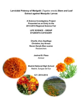 Larvicidal Potency of Marigold (Tagetes erecta) Stem and Leaf
Extract against Mosquito Larvae
A Science Investigatory Project
Presented as an Entry to the
2013-2014 Regional Science Fair
LIFE SCIENCE – GROUP
STUDENTS CATEGORY
Charlie Jhon Aspillaga
Christine Joy Arreza
Raven Daryle Mae suarez
Researchers
Jeshrel B. Plaza
Adviser
Madrid National High School
Madrid, Surigao del Sur
S.Y. 2013-2014
 