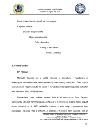 Madrid National High School
Madrid, Surigao del Sur
Larvicidal Potency of Marigold (Tagetes erecta) Stem and Leaf Extract
against Mosquito Larvae
A Science Investigatory Project 2013 – Students Category
By: Cristine JoyR. Arreza, Charlie Jhon Aspillaga, Raven Daryle Mae D. Suarez
15
Below is the scientific classification of Marigold.
Kingdom: Plantae
Division: Magnoliophyta
Class: Magnoliopsida
Order: Asrerales
Family: Calenduleae
Genus: Calendula
B. Related Studies
B.1 Foreign
Marigold, Tagetes are a useful intercrop in agriculture. Populations of
Meloidogyne nematodes have been reduced by intercropping marigolds. Other cultural
applications of Tagetes include the use of T. minuta leaves to repel mosquitoes and safari
ants (Maradufu et al. 1978) in Kenya.
Researchers have isolated several insecticidal compounds from Tagetes.
Compounds extracted from the leaves and flowers of T. minuta are toxic to Aedes aegypti
larvae (Maradufu et al. 1978 pp.24-28). Laboratory tests using polyacetylenes from
Asteraceae indicated that α-terthienyl, a phototoxic thiophene from Tagetes, had an
 