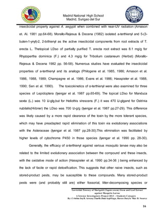 Madrid National High School
Madrid, Surigao del Sur
Larvicidal Potency of Marigold (Tagetes erecta) Stem and Leaf Extract
against Mosquito Larvae
A Science Investigatory Project 2013 – Students Category
By: Cristine JoyR. Arreza, Charlie Jhon Aspillaga, Raven Daryle Mae D. Suarez
16
insecticidal property against A. aegypti when combined with near-UV radiation (Arnason
et. Al. 1981 pp.64-68). Morallo-Rejesus & Decena (1982) isolated a-terthienyl and 5-(3-
buten-1-ynyl)-2, 2-bithienyl as the active insecticidal components from root extracts of T.
erecta L. Thetopical LDso of partially purified T. erecta root extract was 8.1 mg/g for
Rhyzopertha dominica (F.) and 4.3 mg/g for Tribolium castaneum (Herbst) (Morallo-
Rejesus & Decena 1982 pp. 56-58). Numerous studies have evaluated the insecticidal
properties of a-terthienyl and its analogs (Philogene et al. 1985, 1986; Amason et al.
1986, 1988, 1989; Champagne et al. 1986; Evans et al. 1986; Hasspieler et al. 1988,
1990; Sen et al. 1990). The toxicokinetics of α-terthienyl were also examined for three
species of Lepidoptera (Iyengar et al. 1987 pp.65-69). The topical LDso for Manduca
sexta (L.) was 10 IJ-glg,but for Heliothis virescens (F.) it was 470 IJ-glgand for Ostrinia
nubilalis(Hiibner) the LDso was 700 IJ-g/g (Iyengar et al. 1987 pp.27-29). This difference
was likely caused by a more rapid clearance of the toxin by the more tolerant species,
which may have preadapted rapid elimination of this toxin via evolutionary associations
with the Asteraceae (Iyengar et al. 1987 pp.28-30).This elimination was facilitated by
higher levels of cytochrome P450 in those species (Iyengar et al. 1990 pp. 28-30).
Generally, the efficacy of α-terthienyl against various mosquito larvae may also be
related to the limited evolutionary association between the compound and these insects,
with the oxidative mode of action (Hasspieler et al. 1990 pp.34-36 ) being enhanced by
the lack of facile or rapid detoxification. This suggests that other naive insects, such as
stored-product pests, may be susceptible to these compounds. Many stored-product
pests were (and probably still are) either fossorial, litter-decomposing species or
 