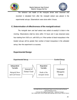 Madrid National High School
Madrid, Surigao del Sur
Larvicidal Potency of Marigold (Tagetes erecta) Stem and Leaf Extract
against Mosquito Larvae
A Science Investigatory Project 2013 – Students Category
By: Cristine JoyR. Arreza, Charlie Jhon Aspillaga, Raven Daryle Mae D. Suarez
21
The behavior and health of the mosquito larvae were observed and
recorded in tabulated form after the marigold extract was placed in the
experimental set-ups. Observations were done within 5 hours.
C. Determination of effectiveness of the marigold extract
The marigold stem and leaf extract was added at exactly 8 o’clock in the
morning. Observations shall be done within 10 hours and it was observed every
hour starting from 9:00 a.m. until 6:00 p.m. If the number of dead mosquitoes in the
treated set-ups will be greater than number of dead mosquitoes in the untreated
set-up, then the experiment is a success.
Experimental Design
Experimental Set-up Control Group
Independent
Variable
Marigold Stem
and Leaf Extract
Amount of
Extract Used
Dependent
Variable
Death of the
mosquito larvae
Untreated
Mosquito
Larvae
 