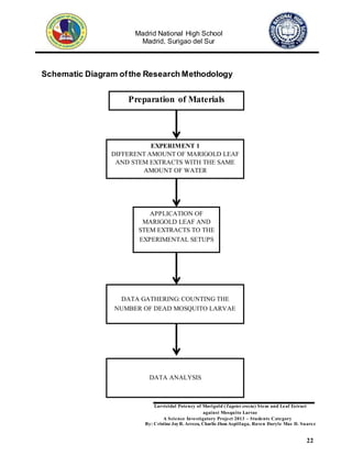 Madrid National High School
Madrid, Surigao del Sur
Larvicidal Potency of Marigold (Tagetes erecta) Stem and Leaf Extract
against Mosquito Larvae
A Science Investigatory Project 2013 – Students Category
By: Cristine JoyR. Arreza, Charlie Jhon Aspillaga, Raven Daryle Mae D. Suarez
22
Schematic Diagram ofthe Research Methodology
Preparation of Materials
EXPERIMENT 1
DIFFERENT AMOUNT OF MARIGOLD LEAF
AND STEM EXTRACTS WITH THE SAME
AMOUNT OF WATER
APPLICATION OF
MARIGOLD LEAF AND
STEM EXTRACTS TO THE
EXPERIMENTAL SETUPS
DATA GATHERING: COUNTING THE
NUMBER OF DEAD MOSQUITO LARVAE
DATA ANALYSIS
 