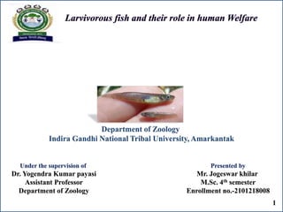 Department of Zoology
Indira Gandhi National Tribal University, Amarkantak
Under the supervision of
Dr. Yogendra Kumar payasi
Assistant Professor
Department of Zoology
Presented by
Mr. Jogeswar khilar
M.Sc. 4th semester
Enrollment no.-2101218008
1
 