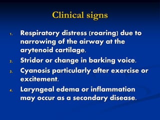 Clinical signs
1. Respiratory distress (roaring) due to
narrowing of the airway at the
arytenoid cartilage.
2. Stridor or change in barking voice.
3. Cyanosis particularly after exercise or
excitement.
4. Laryngeal edema or inflammation
may occur as a secondary disease.
 