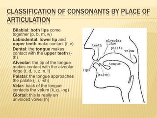 Laryngeal dystonia introduction | PPTX