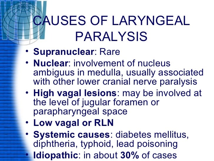 Laryngeal paralysis