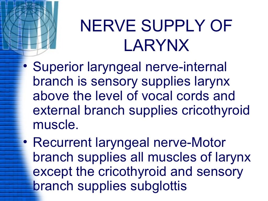 Laryngeal paralysis