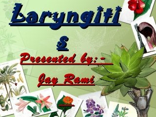 Laryngiti
Laryngiti
s
s
Presented by:-
Presented by:-
Jay Rami
Jay Rami
 