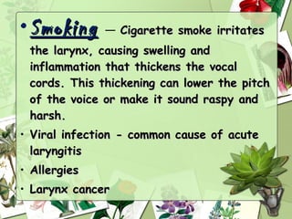 • Smoking  — Cigarette smoke irritates
 the larynx, causing swelling and
 inflammation that thickens the vocal
 cords. This thickening can lower the pitch
 of the voice or make it sound raspy and
 harsh.
• Viral infection - common cause of acute
  laryngitis
• Allergies
• Larynx cancer
 