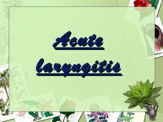 Acute
laryngitis
 
