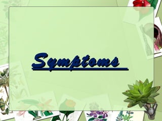 Symptoms
 