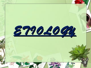 ETIOLOGY
 