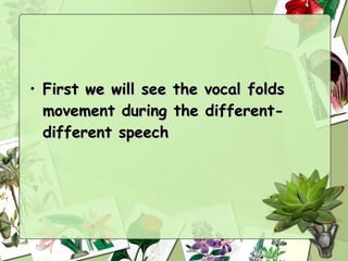 • First we will see the   vocal folds
  movement during the     different-
  different speech
 
