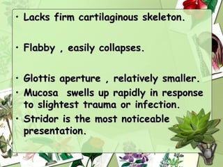 • Lacks firm cartilaginous skeleton.


• Flabby , easily collapses.


• Glottis aperture , relatively smaller.
• Mucosa swells up rapidly in response
  to slightest trauma or infection.
• Stridor is the most noticeable
  presentation.
 