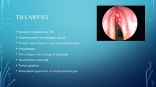 TB LARYNX
• Secondary to pulmonary TB
• Haematogenous/ bronchogenic spread
• Posterior part of larynx – esp interarytenoid region
• Pseudoedema
• Voice fatigue, voice change & dysphagia
• Mouse bitten vocal cord
• Turban epiglottis
• Mammilated appearance of interarytenoid region
 