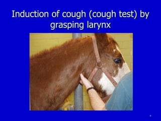 5
Induction of cough (cough test) by
grasping larynx
 