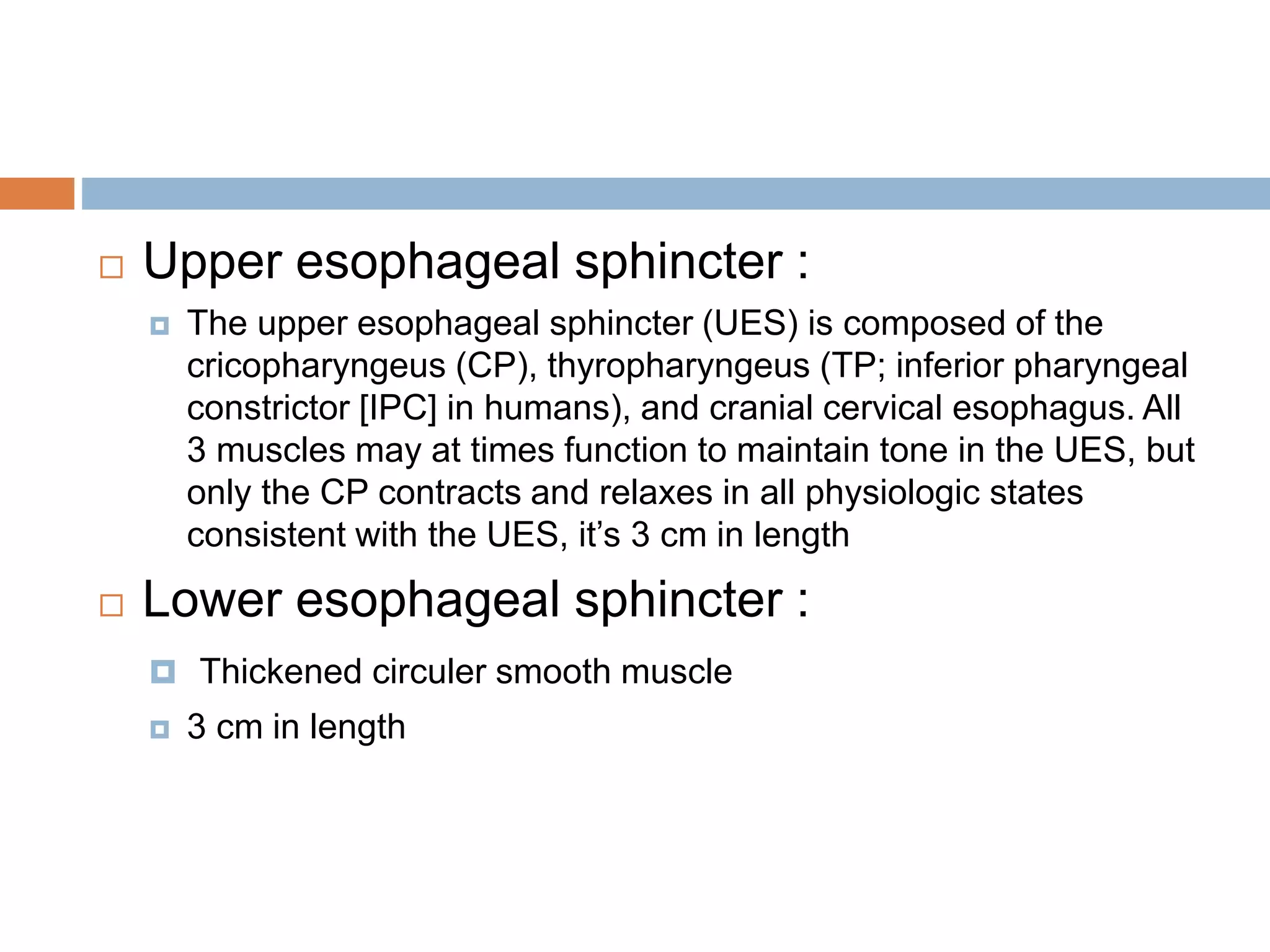  Upper esophageal sphincter :
 The upper esophageal sphincter (UES) is composed of the
cricopharyngeus (CP), thyropharyngeus (TP; inferior pharyngeal
constrictor [IPC] in humans), and cranial cervical esophagus. All
3 muscles may at times function to maintain tone in the UES, but
only the CP contracts and relaxes in all physiologic states
consistent with the UES, it’s 3 cm in length
 Lower esophageal sphincter :
 Thickened circuler smooth muscle
 3 cm in length
 