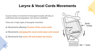 Larynx & Vocal Cords Movements
A quick review of movement of laryngeal muscles will help us
understand why laryngospasm can prevent ventilation.
There are 3 major types of laryngeal movement:
 Movements affecting Tension of the vocal cords
 Movements swinging the vocal cords open and closed
 Movements that close off and protect the larynx
 