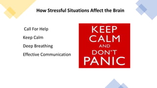 Call For Help
Keep Calm
Deep Breathing
Effective Communication
How Stressful Situations Affect the Brain
 