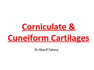 Corniculate &
Cuneiform Cartilages
Dr.Sherif Fahmy
 