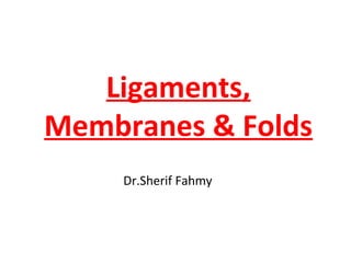 Ligaments,
Membranes & Folds
Dr.Sherif Fahmy
 