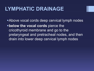 LYMPHATIC DRAINAGE
Above vocal cords deep cervical lymph nodes
below the vocal cords pierce the
cricothyroid membrane and go to the
prelaryngeal and pretracheal nodes, and then
drain into lower deep cervical lymph nodes
 