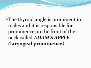 The thyroid angle is prominent in
males and it is responsible for
prominence on the front of the
neck called ADAM’S APPLE.
(laryngeal prominence)
 