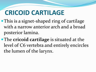 CRICOID CARTILAGE
This is a signet-shaped ring of cartilage
with a narrow anterior arch and a broad
posterior lamina.
The cricoid cartilage is situated at the
level of C6 vertebra and entirely encircles
the lumen of the larynx.
 