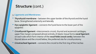 Structure (cont.)
3. Ligaments and Membranes:
• Thyrohyoid membrane – between the upper border of the thyroid and the hyoid
bone. Strengthened anteriorly and laterally
• Hyo-epiglottic ligament – connects the hyoid bone to the lower part of the
epiglottis
• Cricothyroid ligament –interconnects cricoid, thyroid and arytenoid cartilages;
upper free margin composed almost entirely of elastic tissue forms vocal ligament
on each side which form interior of the vocal folds (vocal cords); between the
thyroid above and the cricoid below, the preferred site for cricothyrotomy
• Cricotracheal ligament – connects the cricoid to the first ring of the trachea
 