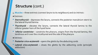 Structure (cont.)
4. Muscles – three extrinsic (connect larynx to its neighbours) and six intrinsic:
● Extrinsic:
• Sternothyroid – depresses the larynx, connects the posterior manubrium sterni to
the lateral thyroid lamina
• Thyrohyoid – elevates the larynx, connects the lateral thyroid lamina to the
inferior greater horn of the hyoid bone
• Inferior constrictor – constricts the pharynx, origins from the thyroid lamina, the
tendinous arch over the cricothyroid and the side of the pharynx
● Intrinsic:
• Posterior crico-arytenoid – opens the glottis by the abducting cords
• Lateral crico-arytenoid – closes the glottis by the adducting cords (principle
adductors)
 