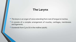 The Larynx
• The larynx is an organ of voice extending from root of tongue to trachea.
• It consists of a complex arrangement of muscles, cartilages, membranes
and ligaments.
• It extends from C3 to C6 in the midline (adult).
 