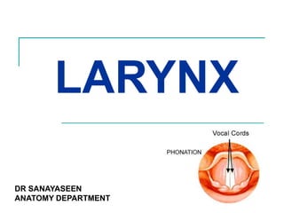 LARYNX
DR SANAYASEEN
ANATOMY DEPARTMENT
 