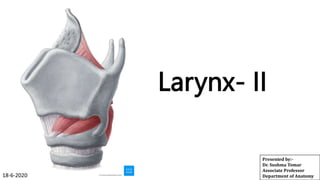 Larynx- II
Presented by:-
Dr. Sushma Tomar
Associate Professor
Department of Anatomy
18-6-2020
 