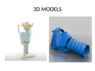 larynx skeleton interior A&N supply1 & 2-1.pptx