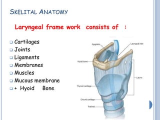 SKELITAL ANATOMY
Laryngeal frame work consists of :
 Cartilages
 Joints
 Ligaments
 Membranes
 Muscles
 Mucous membrane
 + Hyoid Bone
 