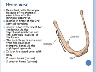 HYOID BONE
 Described with the larynx
because of its anatomic
association with the
laryngeal apparatus.
 located in front of the 3rd
cervical vertebra.
 serves as an attachment for
the larynx via the
thyrohyoid membrane and
the extrinsic muscles of
the larynx.
 The hyoid bone is suspended
from the skull base
(temporal bone) via the
stylohyoid ligaments
 It is an U-shaped bone with
 Body
 2 lesser horns (cornua)
 2 greater horns (cornua)
 