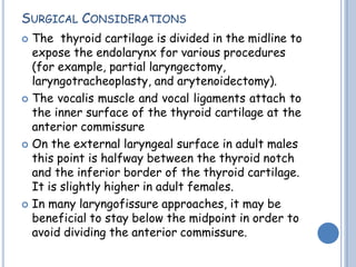SURGICAL CONSIDERATIONS
 The thyroid cartilage is divided in the midline to
expose the endolarynx for various procedures
(for example, partial laryngectomy,
laryngotracheoplasty, and arytenoidectomy).
 The vocalis muscle and vocal ligaments attach to
the inner surface of the thyroid cartilage at the
anterior commissure
 On the external laryngeal surface in adult males
this point is halfway between the thyroid notch
and the inferior border of the thyroid cartilage.
It is slightly higher in adult females.
 In many laryngofissure approaches, it may be
beneficial to stay below the midpoint in order to
avoid dividing the anterior commissure.
 