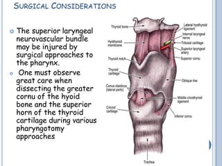 SURGICAL CONSIDERATIONS
 The superior laryngeal
neurovascular bundle
may be injured by
surgical approaches to
the pharynx.
 One must observe
great care when
dissecting the greater
cornu of the hyoid
bone and the superior
horn of the thyroid
cartilage during various
pharyngotomy
approaches
 