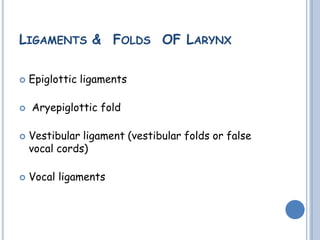 LIGAMENTS & FOLDS OF LARYNX
 Epiglottic ligaments
 Aryepiglottic fold
 Vestibular ligament (vestibular folds or false
vocal cords)
 Vocal ligaments
 