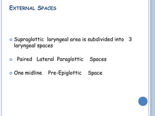 EXTERNAL SPACES
 Supraglottic laryngeal area is subdivided into 3
laryngeal spaces
 Paired Lateral Paraglottic Spaces
 One midline Pre-Epiglottic Space
 