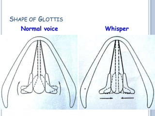 SHAPE OF GLOTTIS
Normal voice Whisper
 