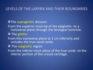 LEVELS OF THE LARYNX AND THEIR BOUNDARIES
The supraglottic division:
From the superior-most tip of the epiglottis -to a
transverse plane through the laryngeal ventricle.
 The glottis:
From this transverse plane to 1 cm inferiorly and
includes the true vocal cords.
 The subglottic region
From the inferior-most plane of the true cords -to the
inferior portion of the cricoid cartilage.
 