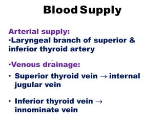 Blood Supply
Arterial supply:
•Laryngeal branch of superior &
inferior thyroid artery
•Venous drainage:
• Superior thyroid vein  internal
jugular vein
• Inferior thyroid vein 
innominate vein
 