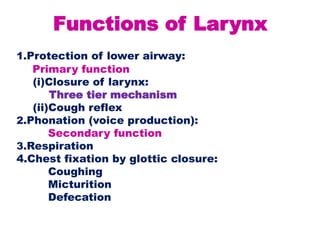 Functions of Larynx
1.Protection of lower airway:
Primary function
(i)Closure of larynx:
Three tier mechanism
(ii)Cough reflex
2.Phonation (voice production):
Secondary function
3.Respiration
4.Chest fixation by glottic closure:
Coughing
Micturition
Defecation
 