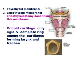 1. Thyrohyoid membrane:
2. Cricothyroid membrane:
cricothyroidotomy done though
this membrane
• Cricoid cartilage: only
rigid & complete ring
among the cartilages
forming larynx and
trachea
 