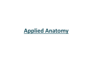 Applied Anatomy
 