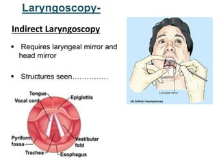  Requires laryngeal mirror and
head mirror
 Structures seen……………
Laryngoscopy-
Indirect Laryngoscopy
 
